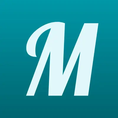 Монтажно-сервисная компания, ИП Старостин Н.Н., лого-визитка